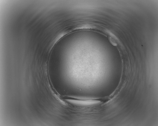 X0000066941329200604071902