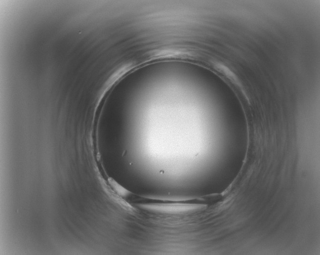 X0000066941330200604071902