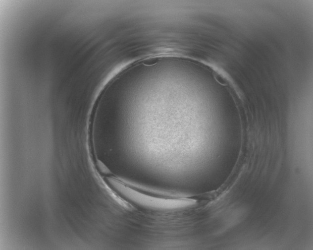 X0000066941333200604071902