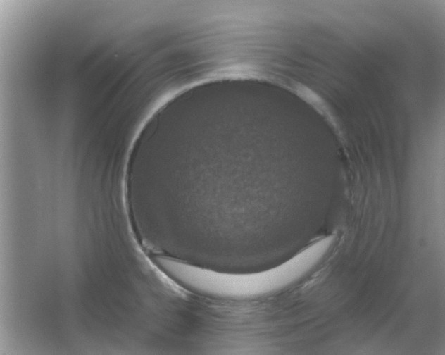 X0000066941334200604071902