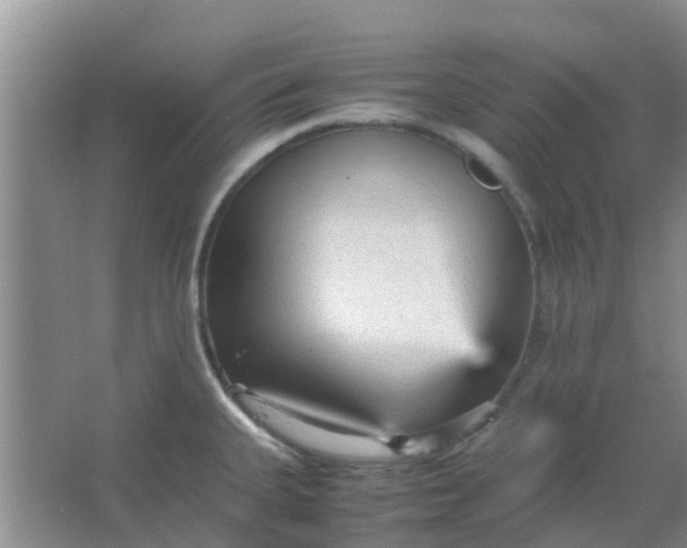 X0000066941335200604071902