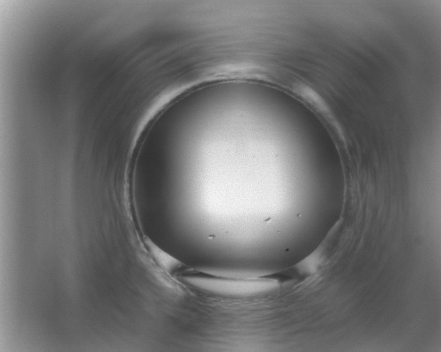 X0000066941336200604071902