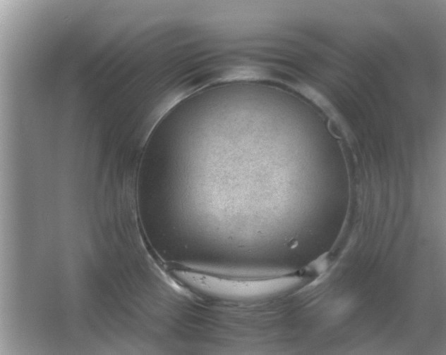 X0000066941337200604071902