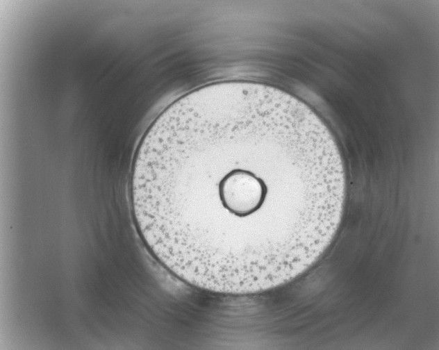 X0000066941338200604071902