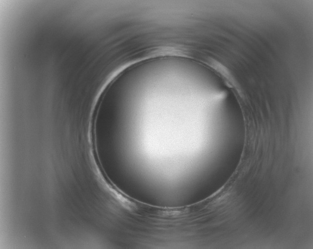 X0000066941339200604071902