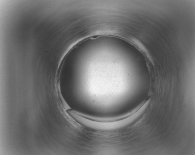 X0000066941340200604071902