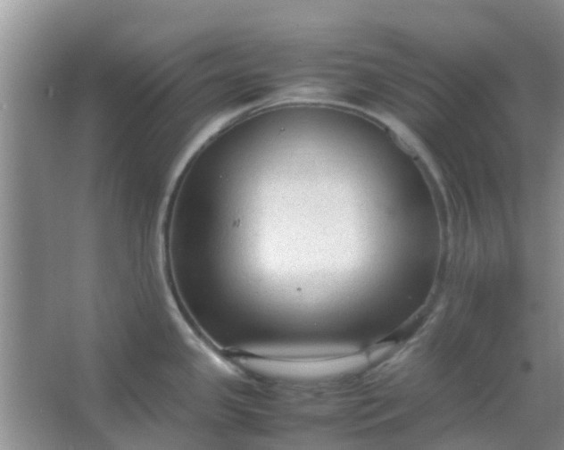 X0000066941341200604071902