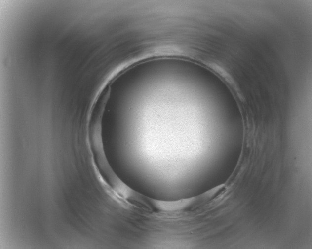 X0000066941342200604071902