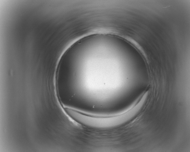 X0000066941343200604071902