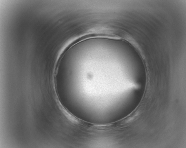 X0000066941344200604071902