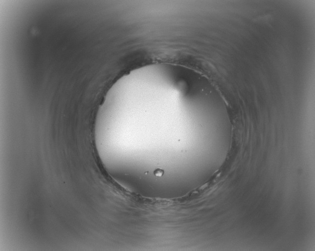 X0000066941345200604071901