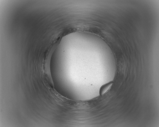 X0000066941346200604071901