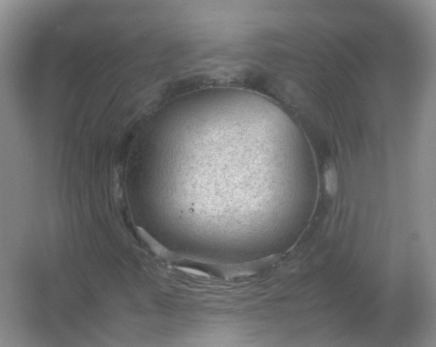 X0000066941347200604071901