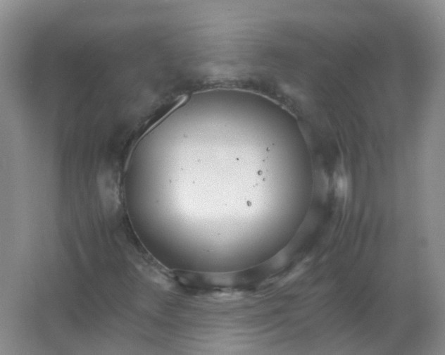 X0000066941348200604071901