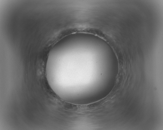 X0000066941349200604071901