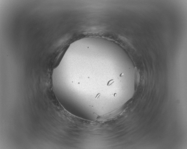 X0000066941350200604071901