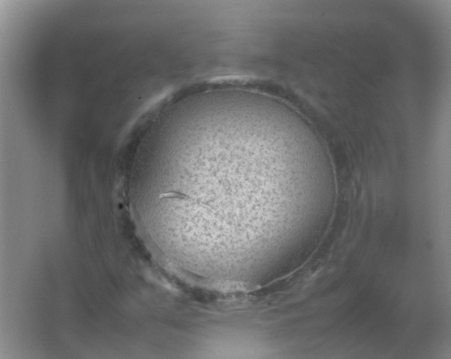 X0000066941351200604071901