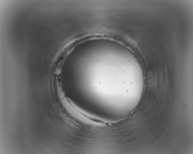 X0000066941352200604071901