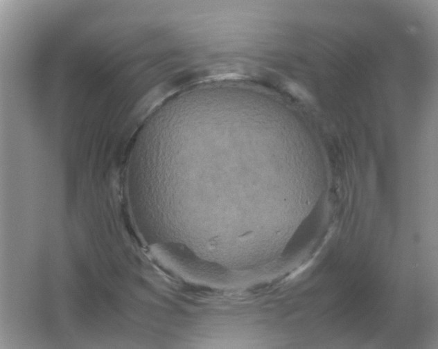 X0000066941353200604071901