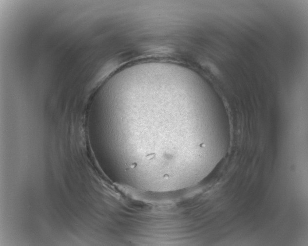 X0000066941354200604071901