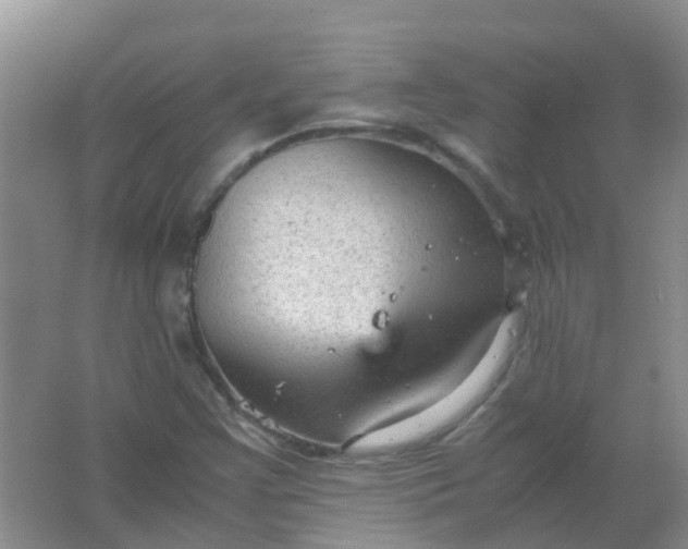 X0000066941355200604071901