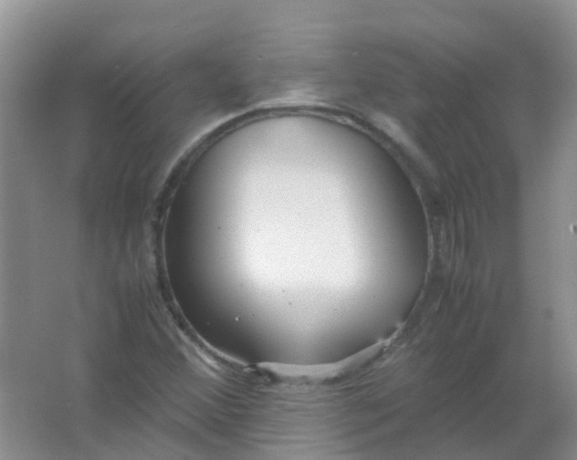 X0000066941356200604071901