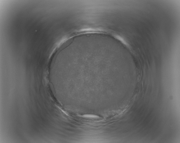 X0000066941357200604071901