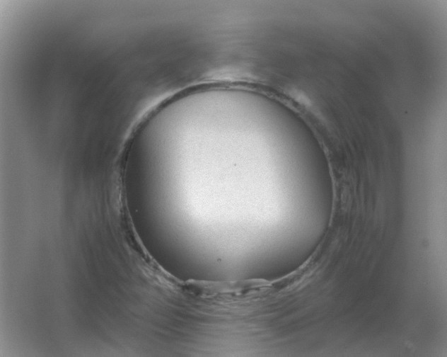 X0000066941358200604071901