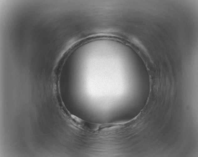 X0000066941360200604071901