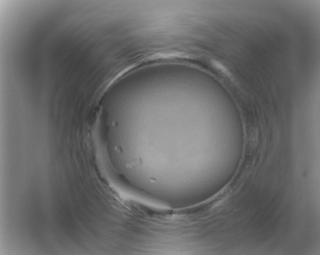 X0000066941361200604071901