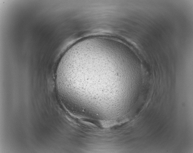 X0000066941363200604071901