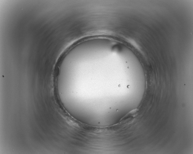 X0000066941364200604071901