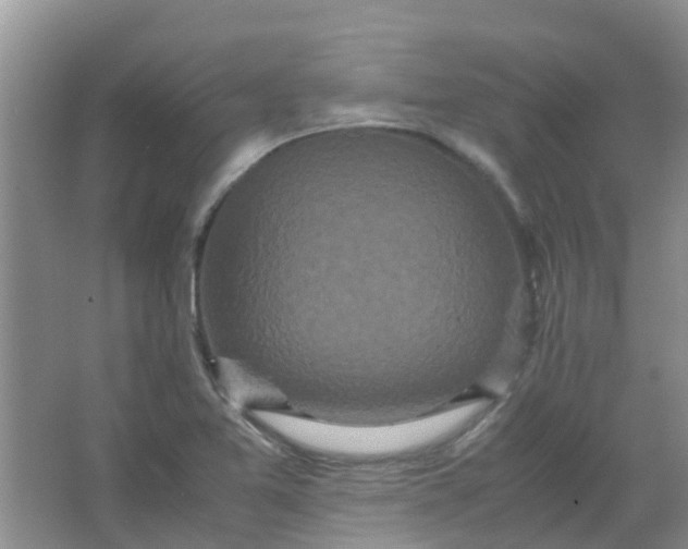 X0000066941365200604071901