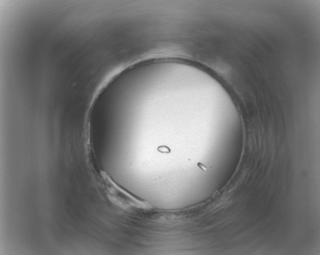 X0000066941366200604071901