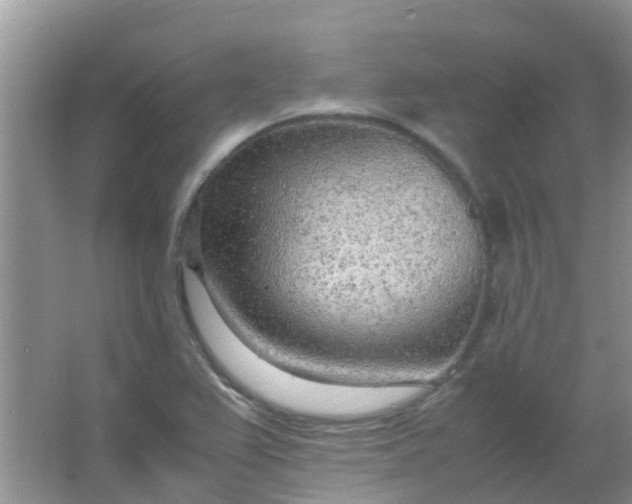 X0000066941367200604071901