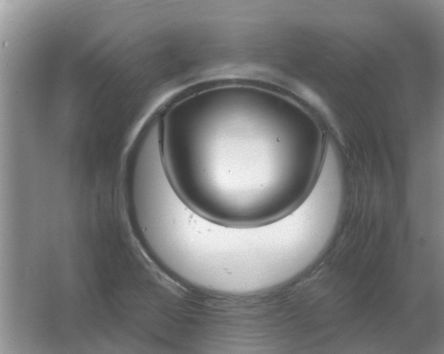 X0000066941368200604071901