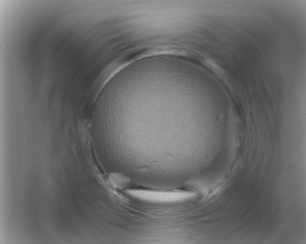 X0000066941369200604071901