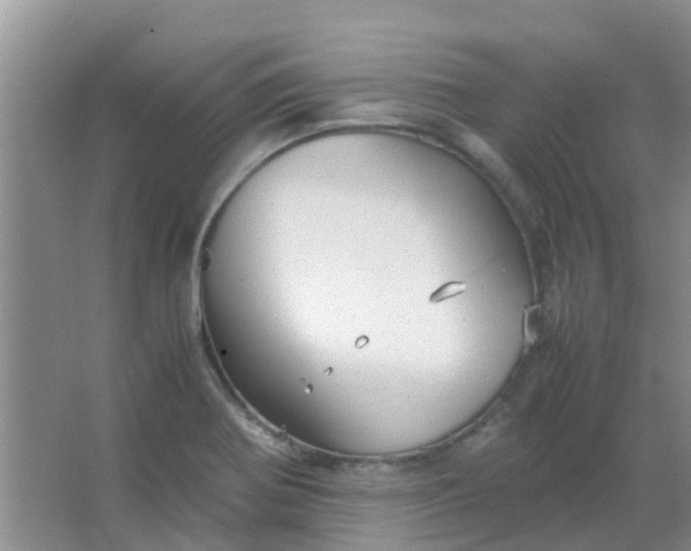 X0000066941370200604071901