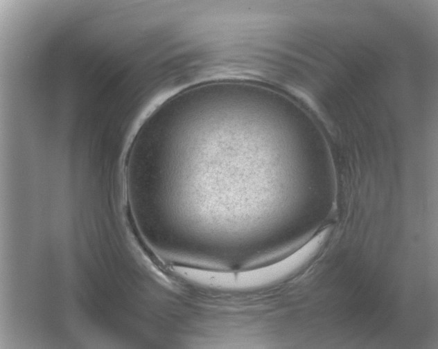 X0000066941371200604071901