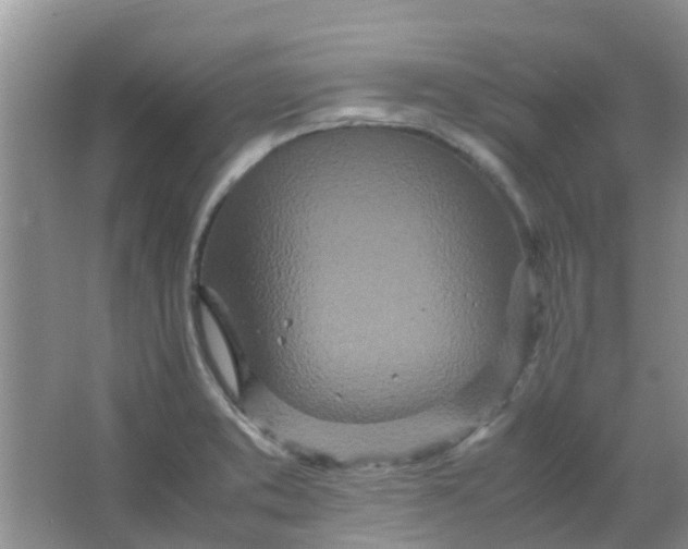 X0000066941373200604071901