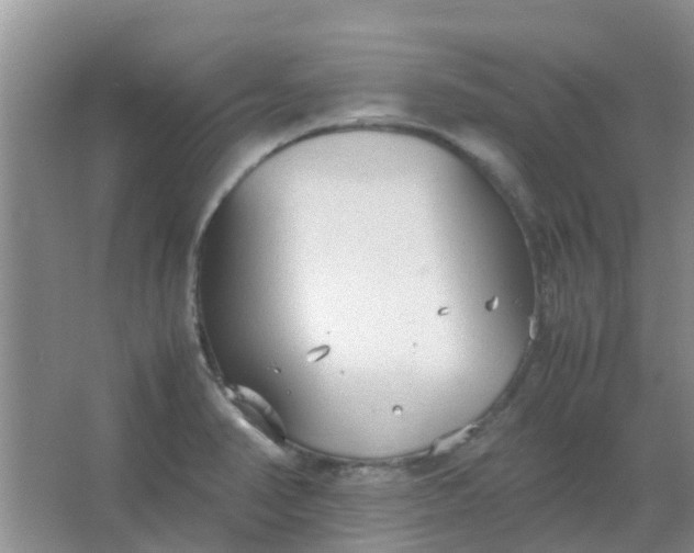 X0000066941374200604071901