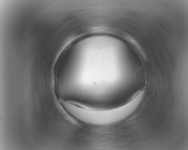 X0000066941376200604071901