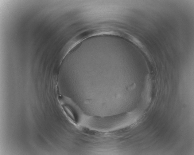 X0000066941377200604071901