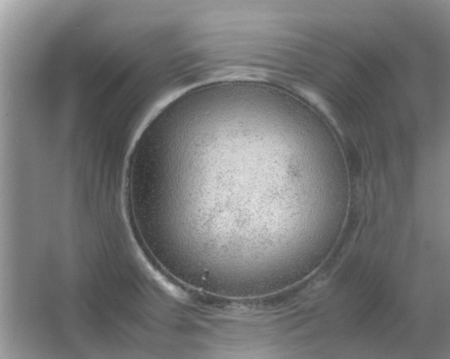 X0000066941379200604071901