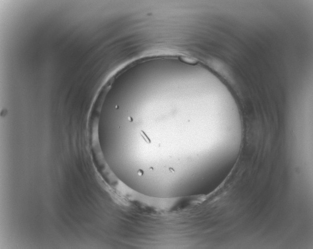 X0000066941380200604071901