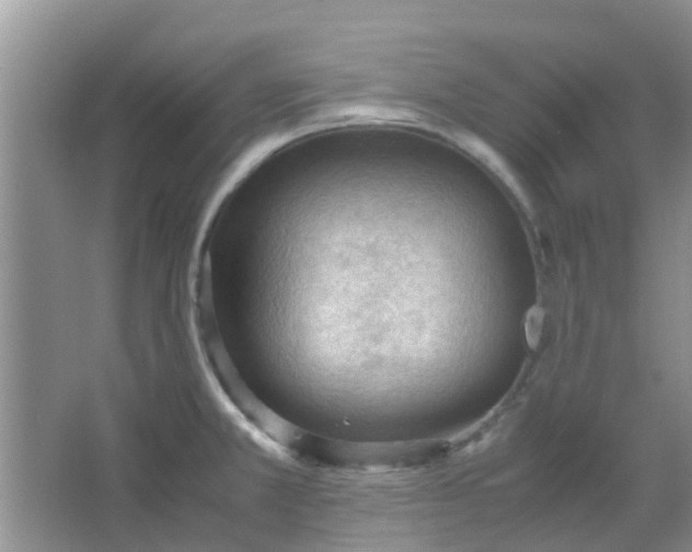 X0000066941381200604071901