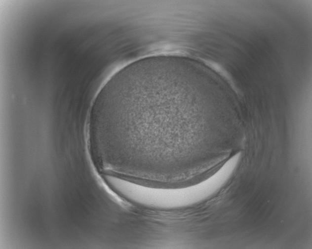 X0000066941383200604071901