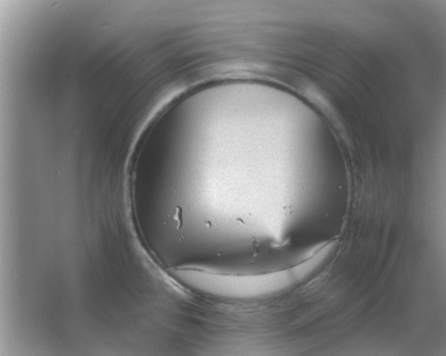 X0000066941384200604071901