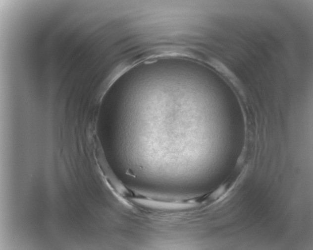 X0000066941385200604071901