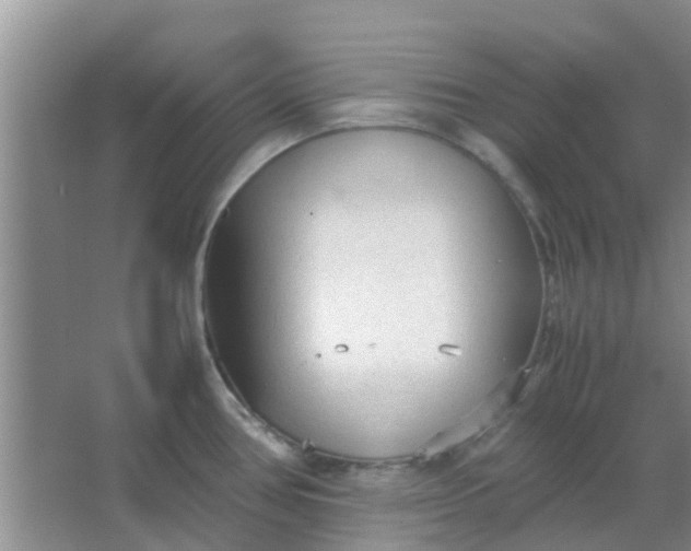 X0000066941386200604071901